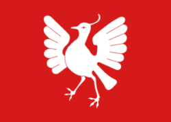 Flag of Time